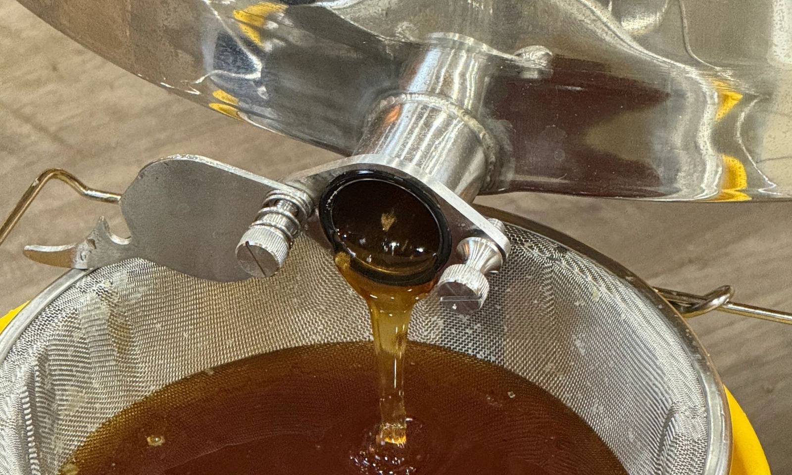 Honey pouring through a strainer into a bucket at Honey Tree Orchard & Apiary, Cedar Bluff, Virginia