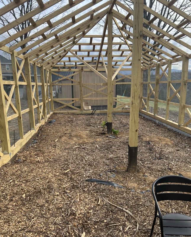 The bare timber frame of the berry cage standing over wood chips