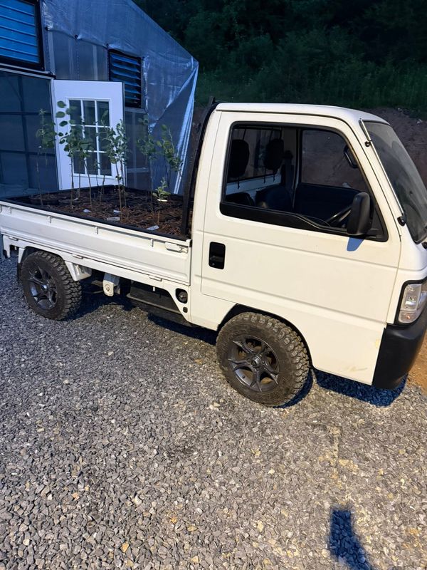 A small white mini-truck loaded with potted apple trees