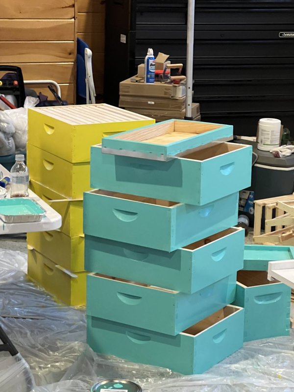 Freshly painted yellow and teal hive boxes stacked up to dry