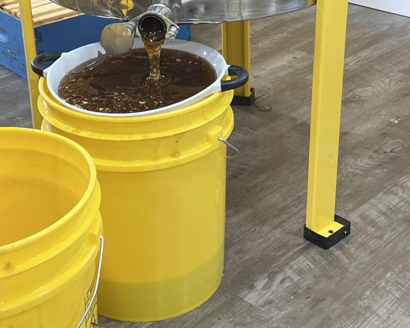 Honey pouring from the extractor gate through a strainer into a yellow bucket
