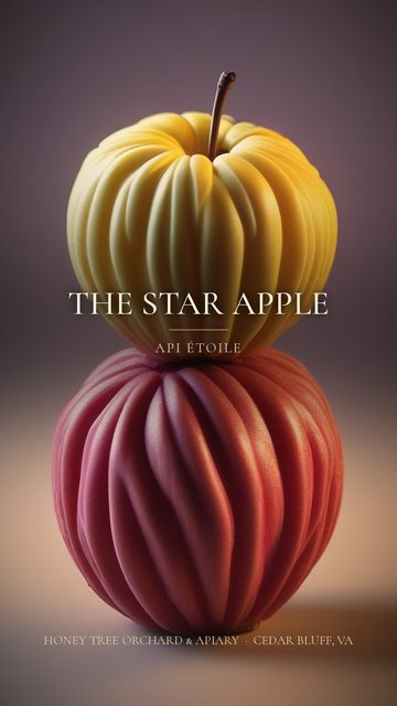 Star Apple apple, a short film