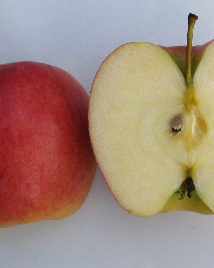 Photo of Ambrosia apples