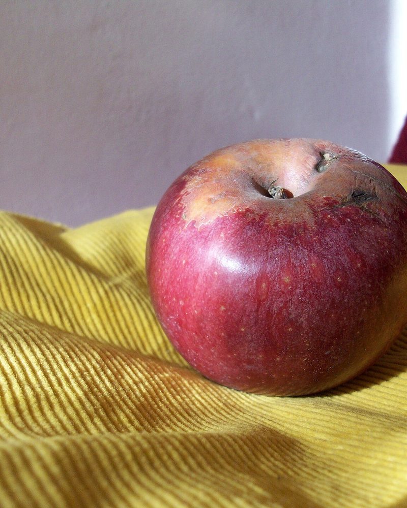 Photo of Annurca apples