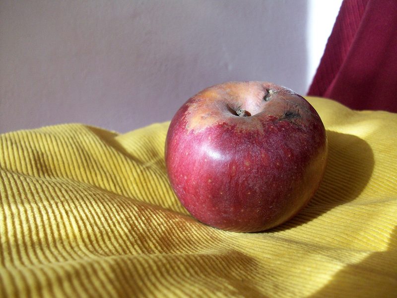 Photo of Annurca apples