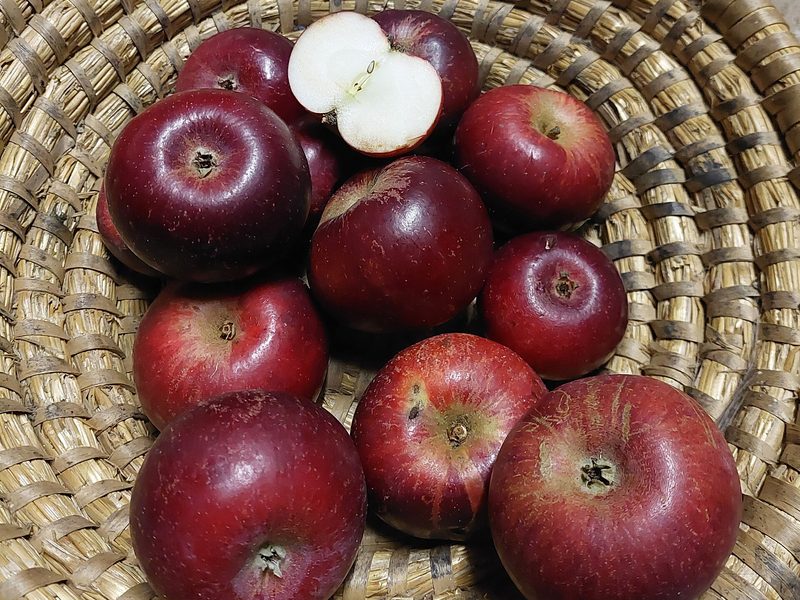 Photo of Christkindler apples