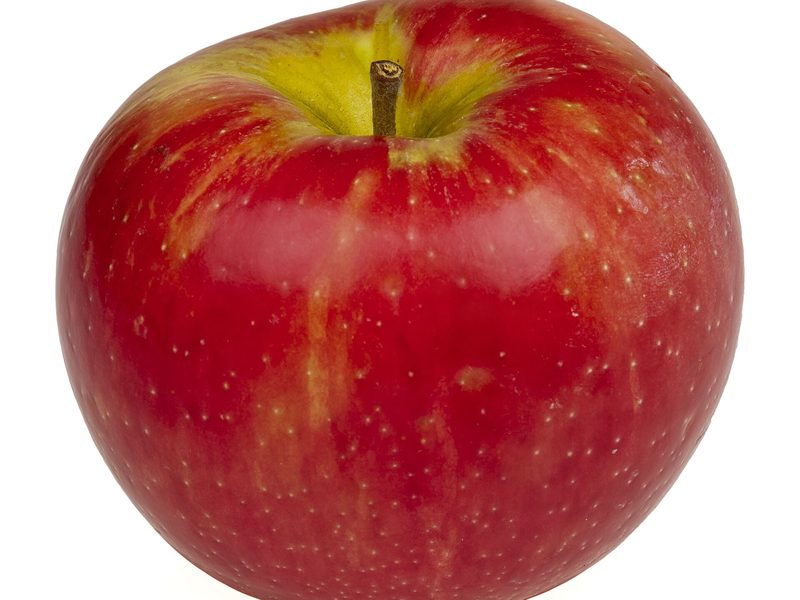 Photo of Honeycrisp apples