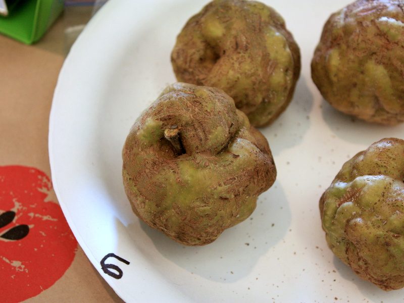 Photo of Knobbed Russet apples