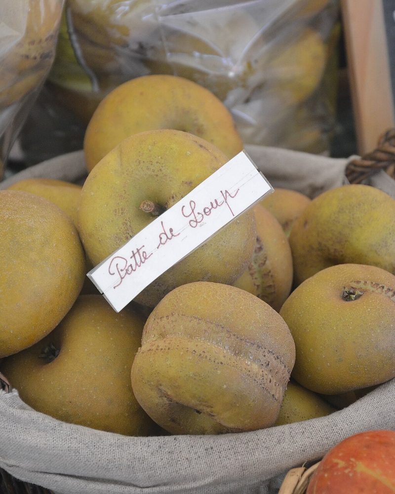 Photo of Patte de Loup apples