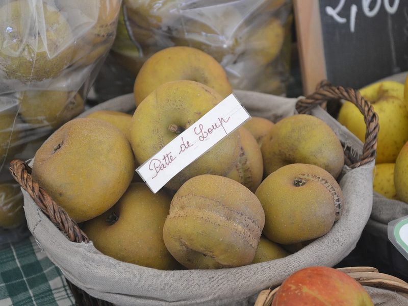 Photo of Patte de Loup apples
