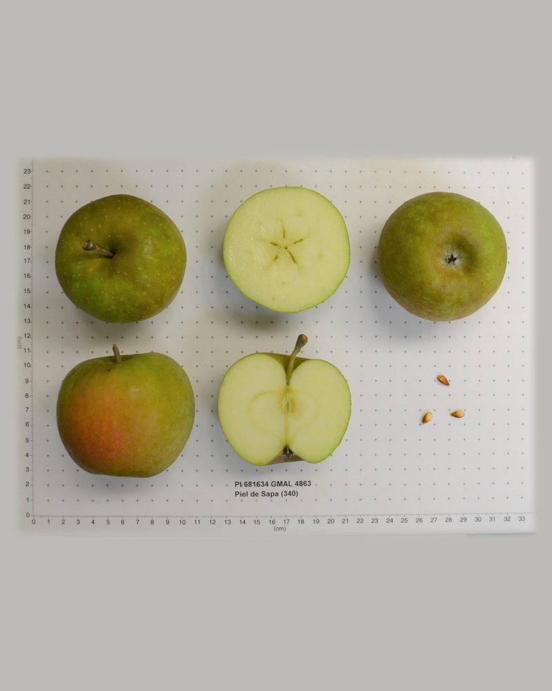 Photo of Piel de Sapo apples