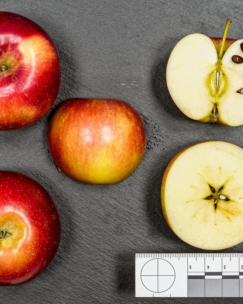 Photo of Spartan apples